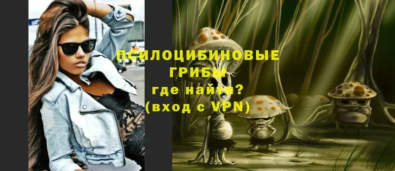 где продают наркотики  Агидель  гидра ССЫЛКА  Псилоцибиновые грибы Psilocybe 